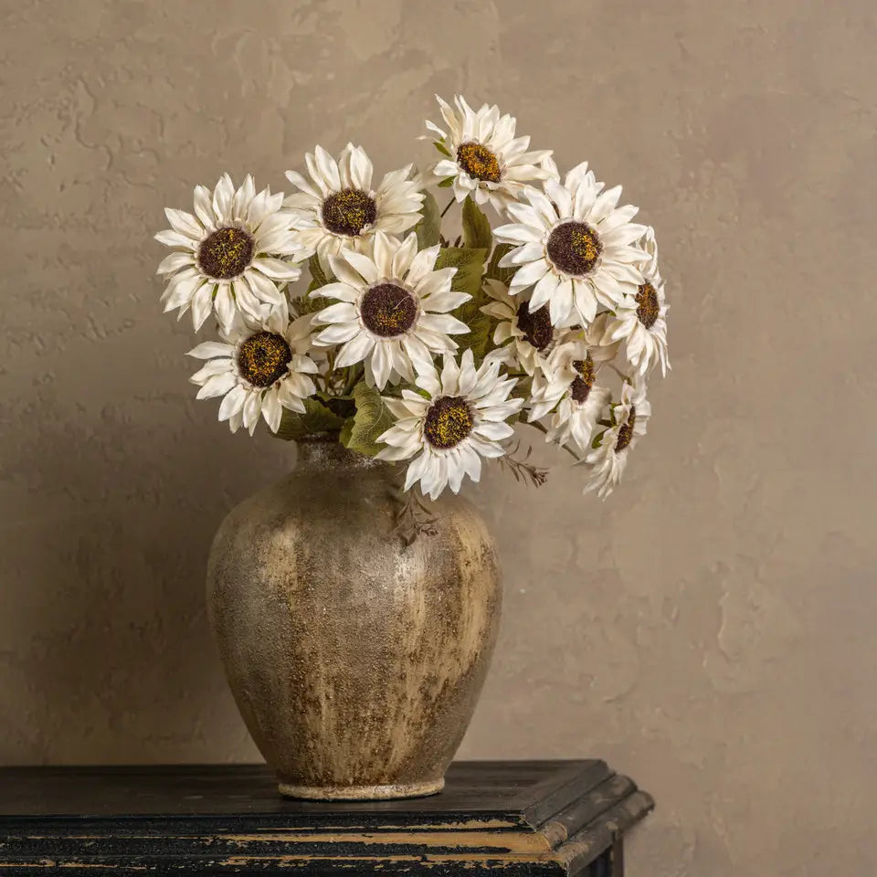 Cream Sunflower Bush