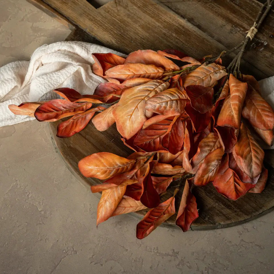 Dried Orange Magnolia Leaves Bundle