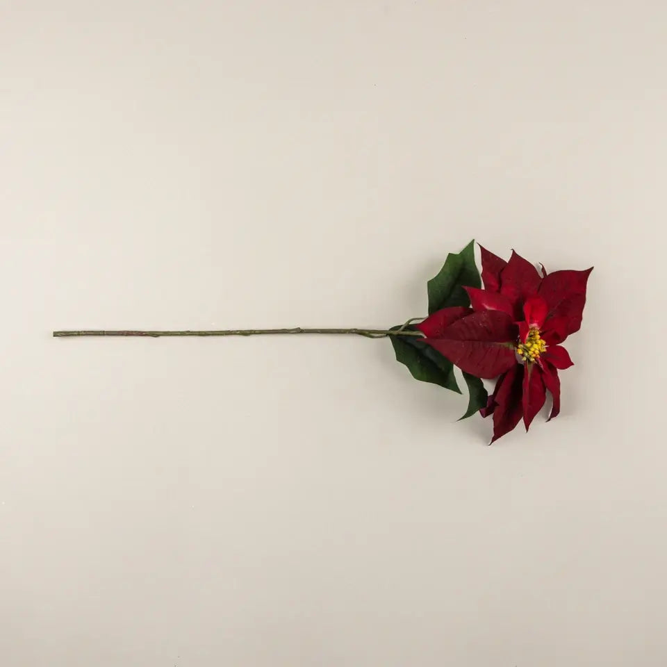 Burgundy Poinsettia Stem