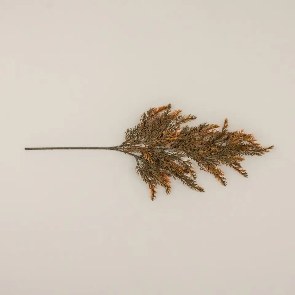 Orange Tipped Juniper Spray
