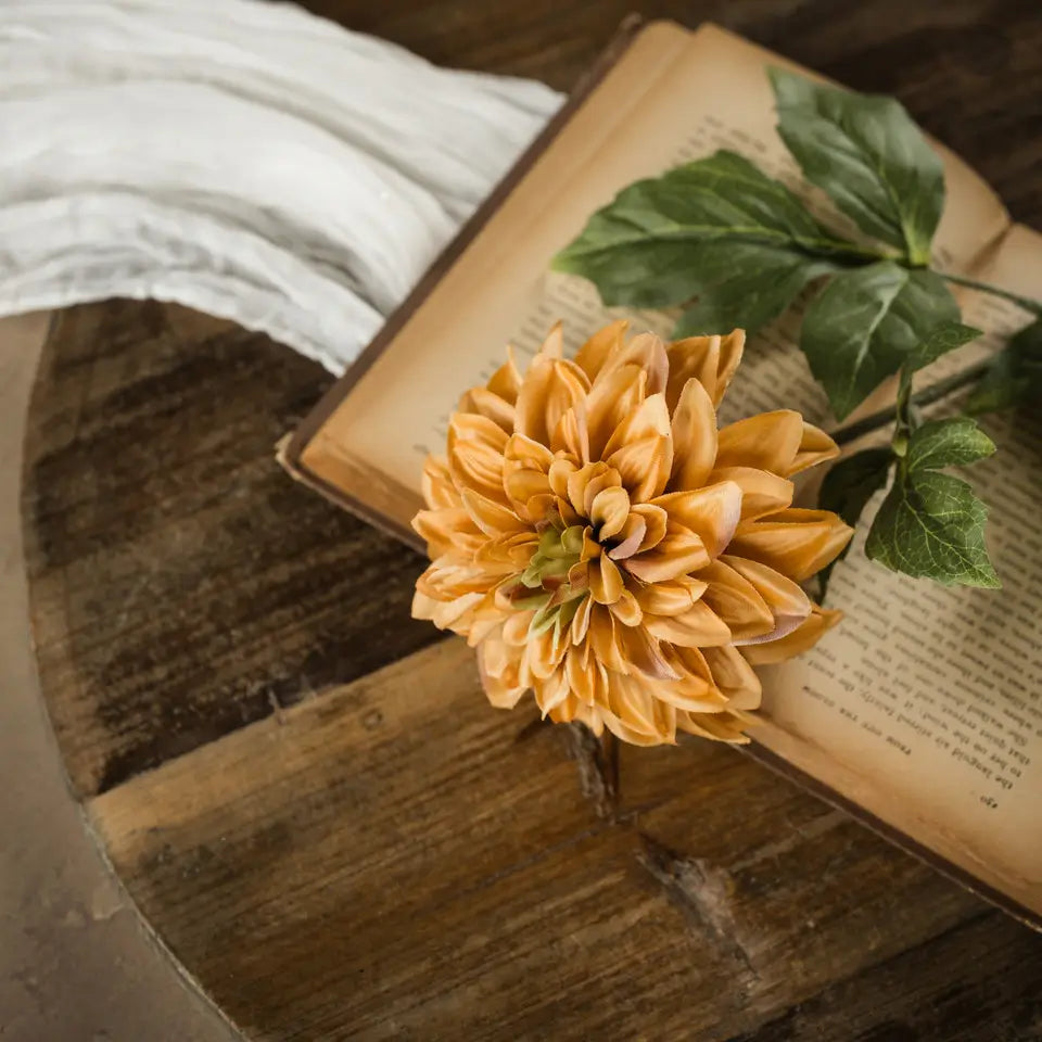Mustard Dahlia Stem