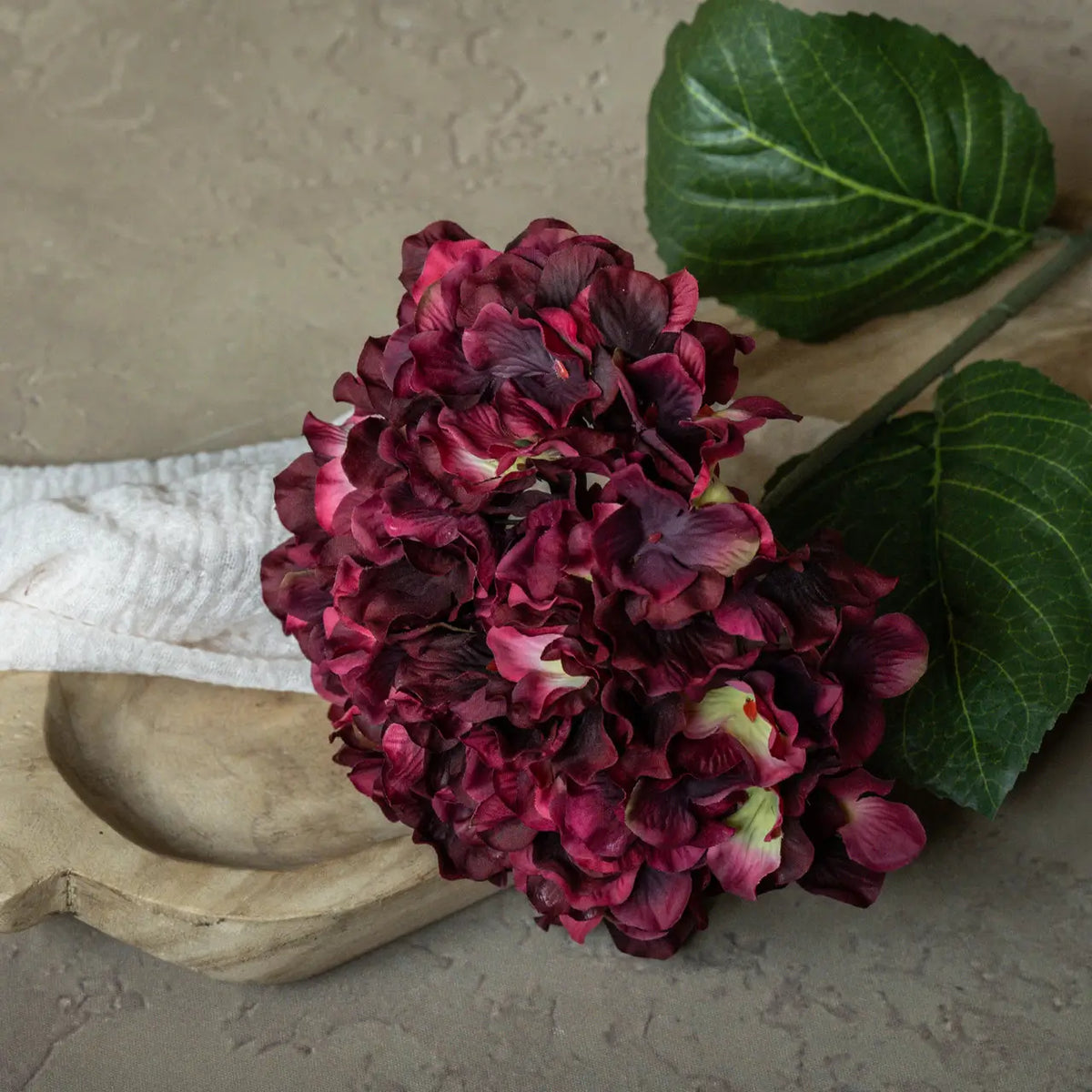 Burgundy Hydrangea Stem