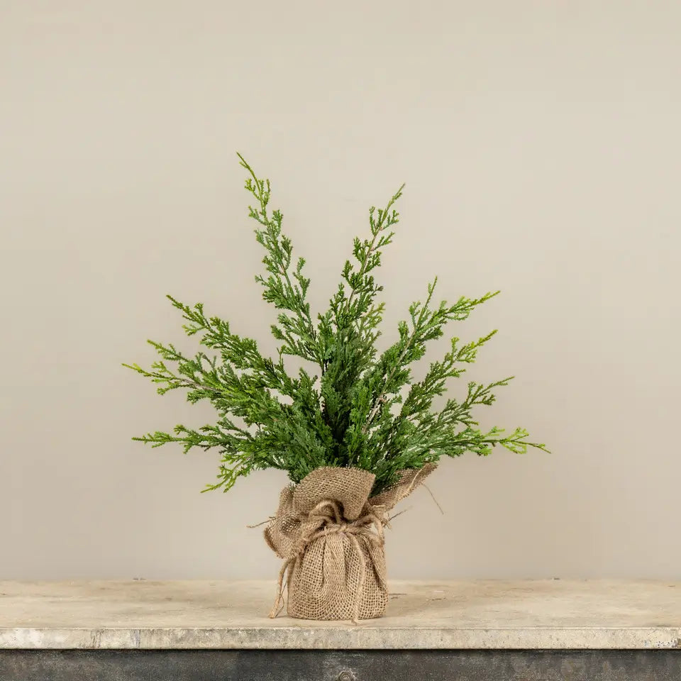 Cypress & Ruscus Burlap Base Tree