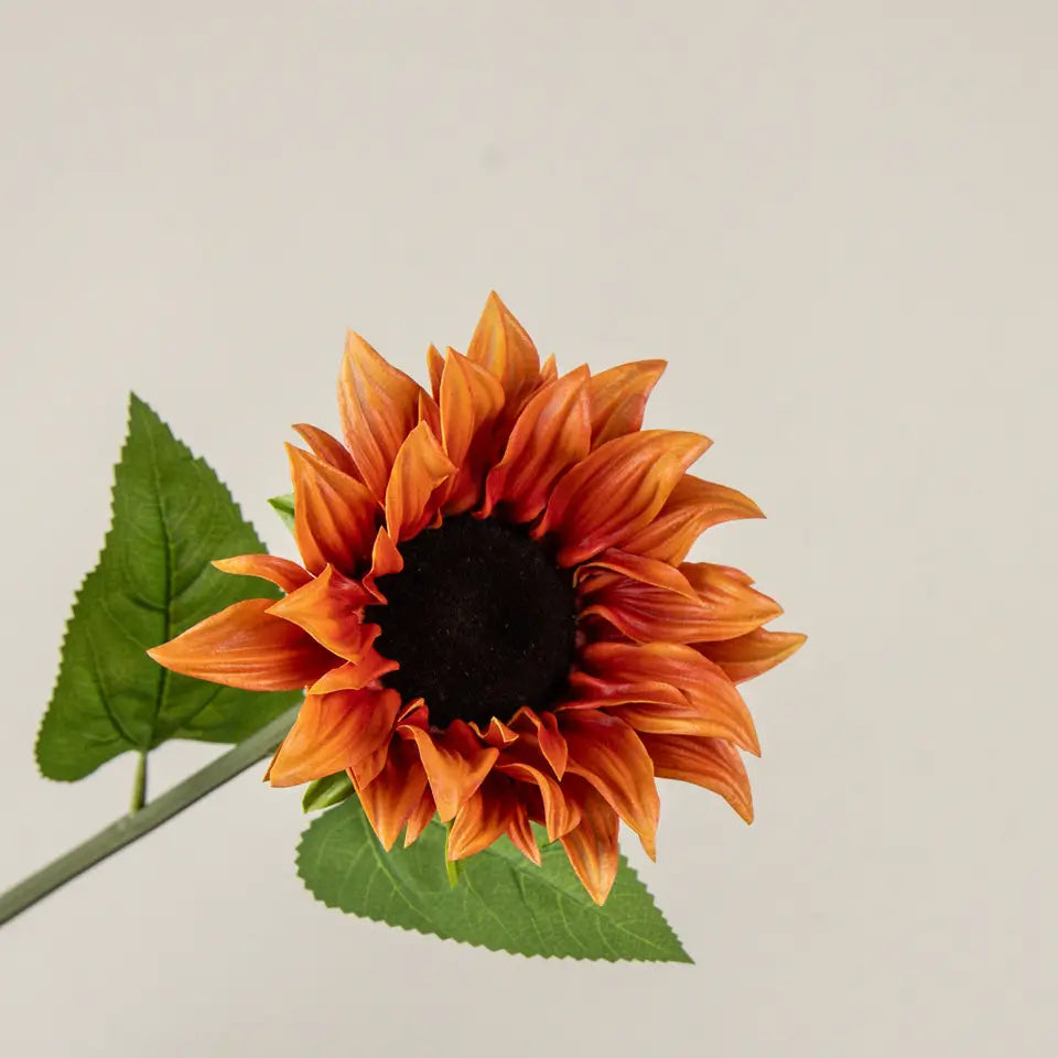 Orange Sunflower Stem