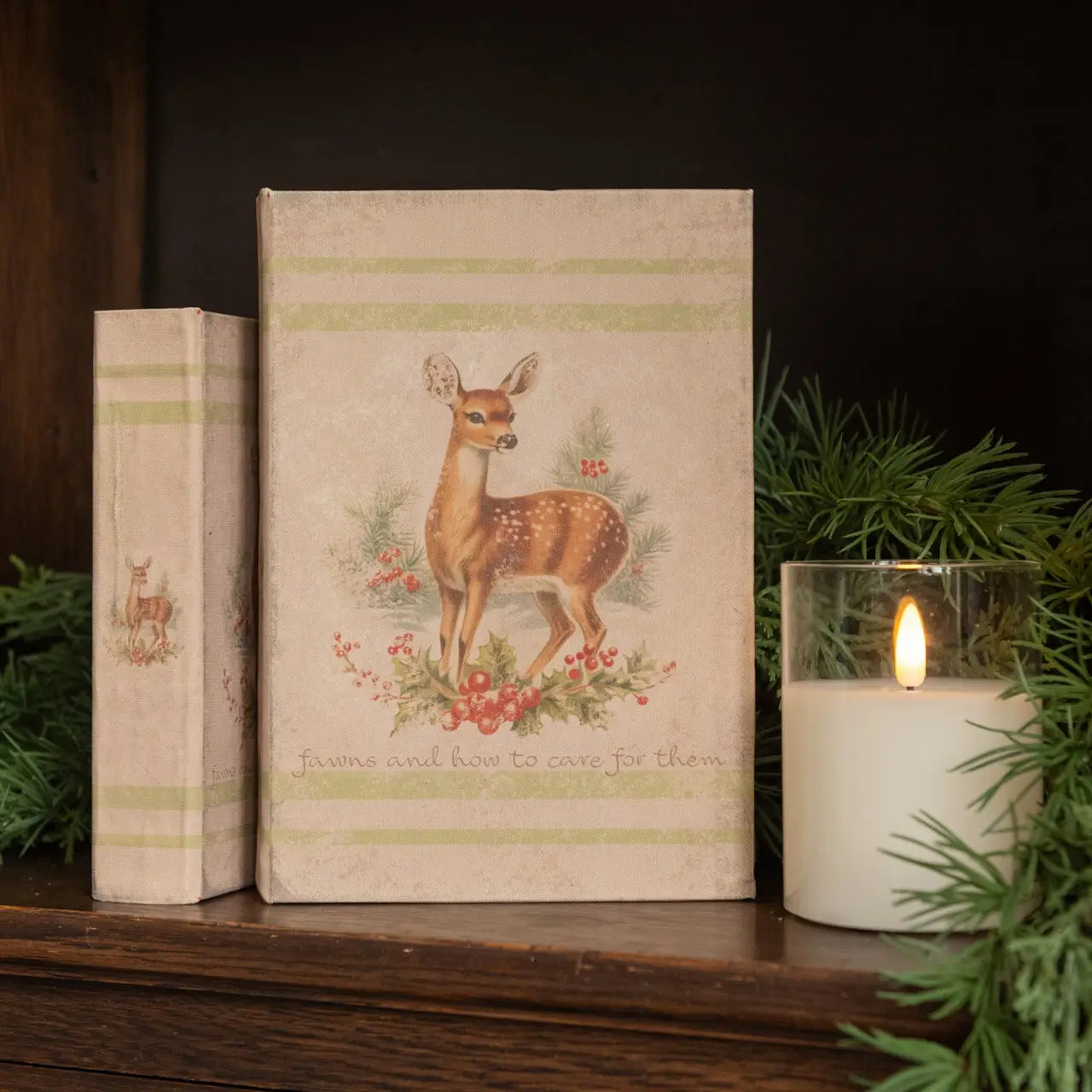 Fawns & How To Care For Them Journal