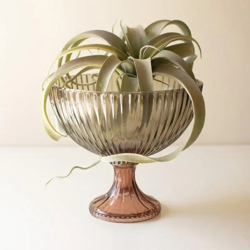 Multi Colored Ribbed Glass Compote