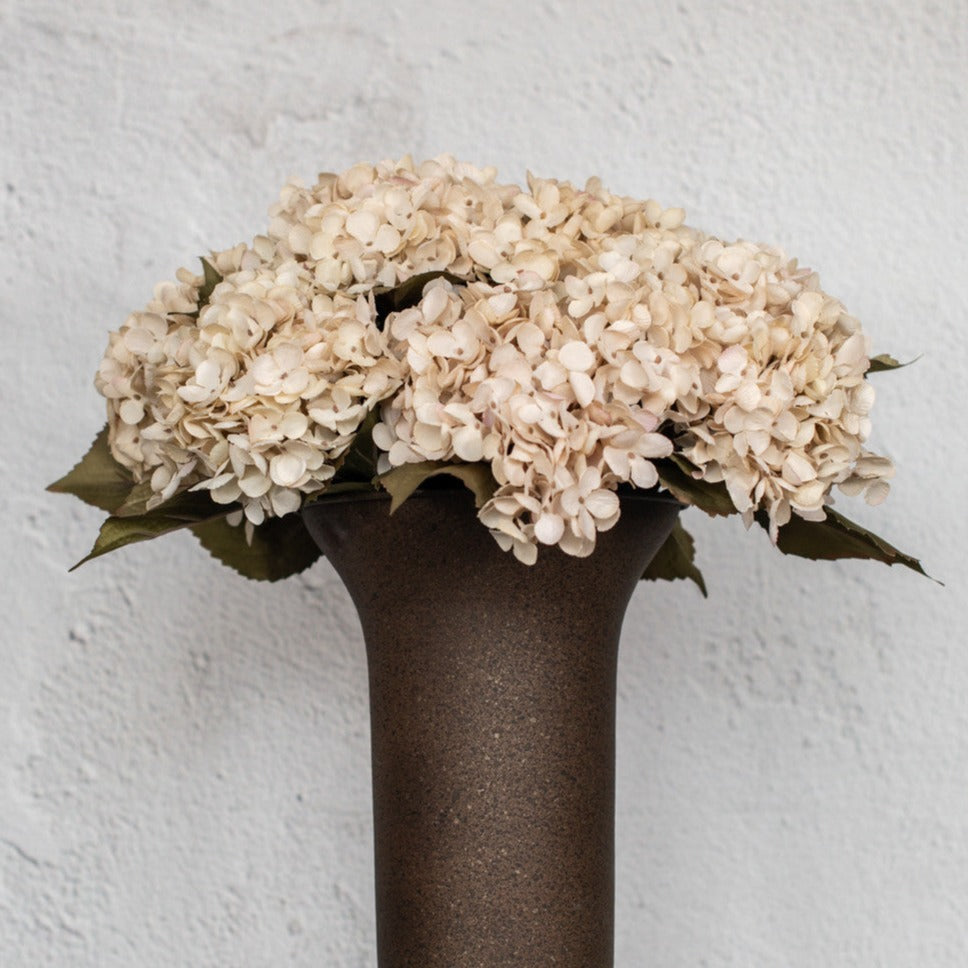 Cream Hydrangea Stem