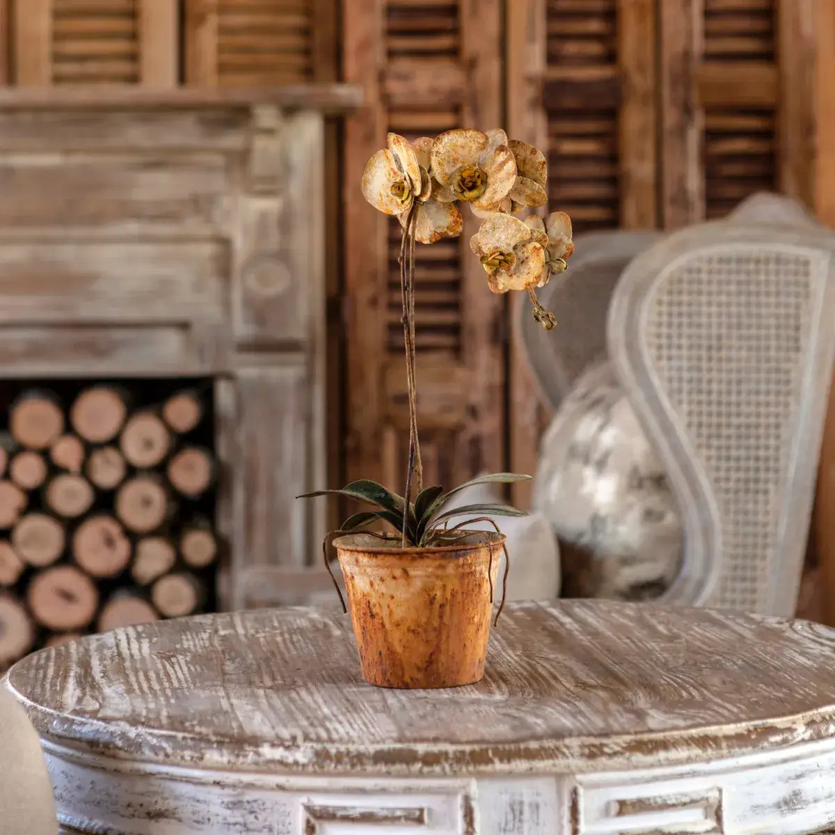 Tole Butterfly Orchid