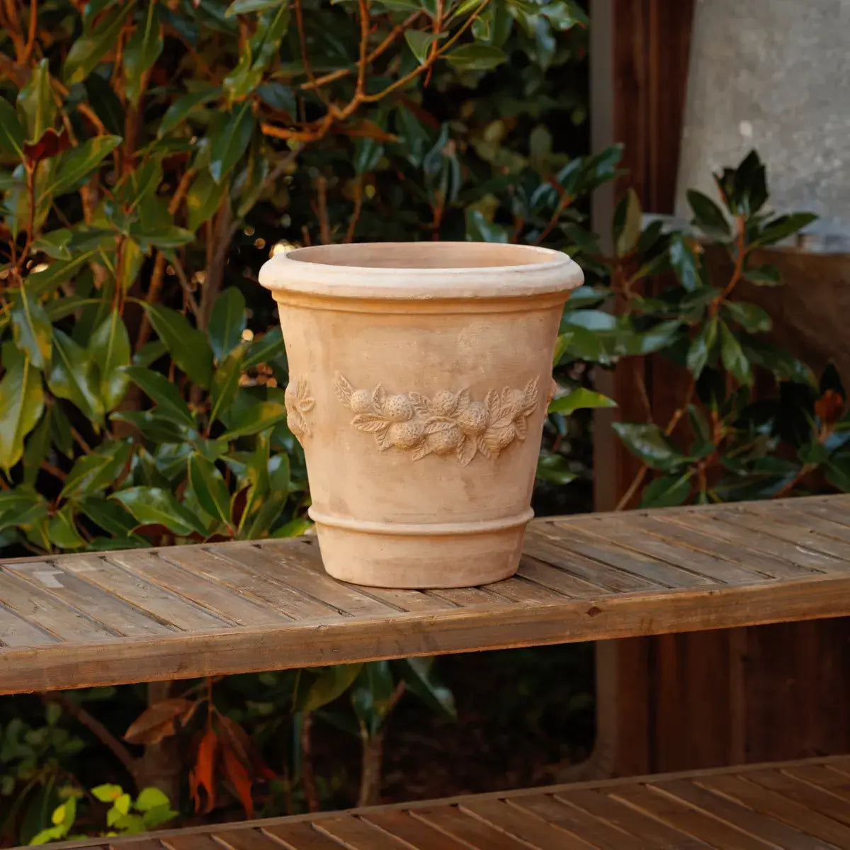 Fresco Limone Pot