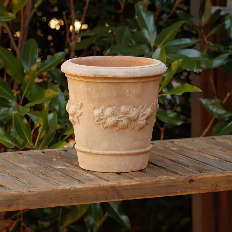 Fresco Limone Pot