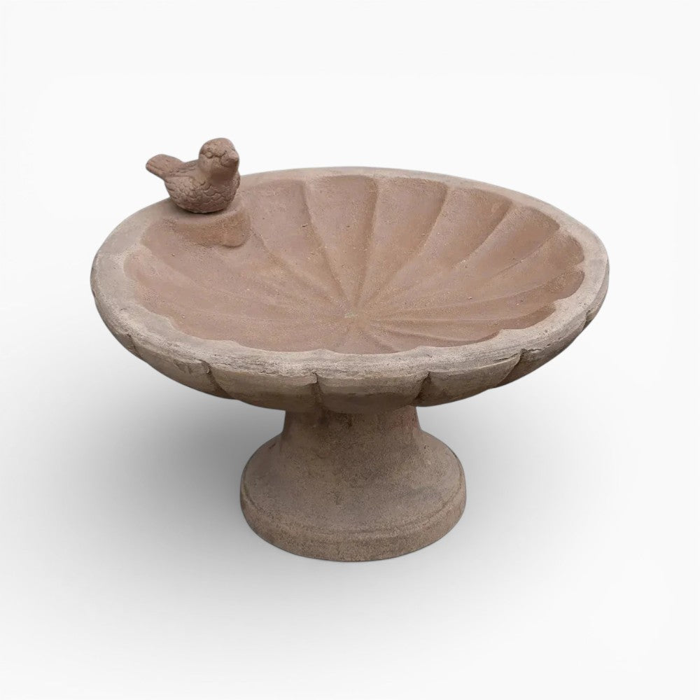 Florence Terra Cotta Bird Bath
