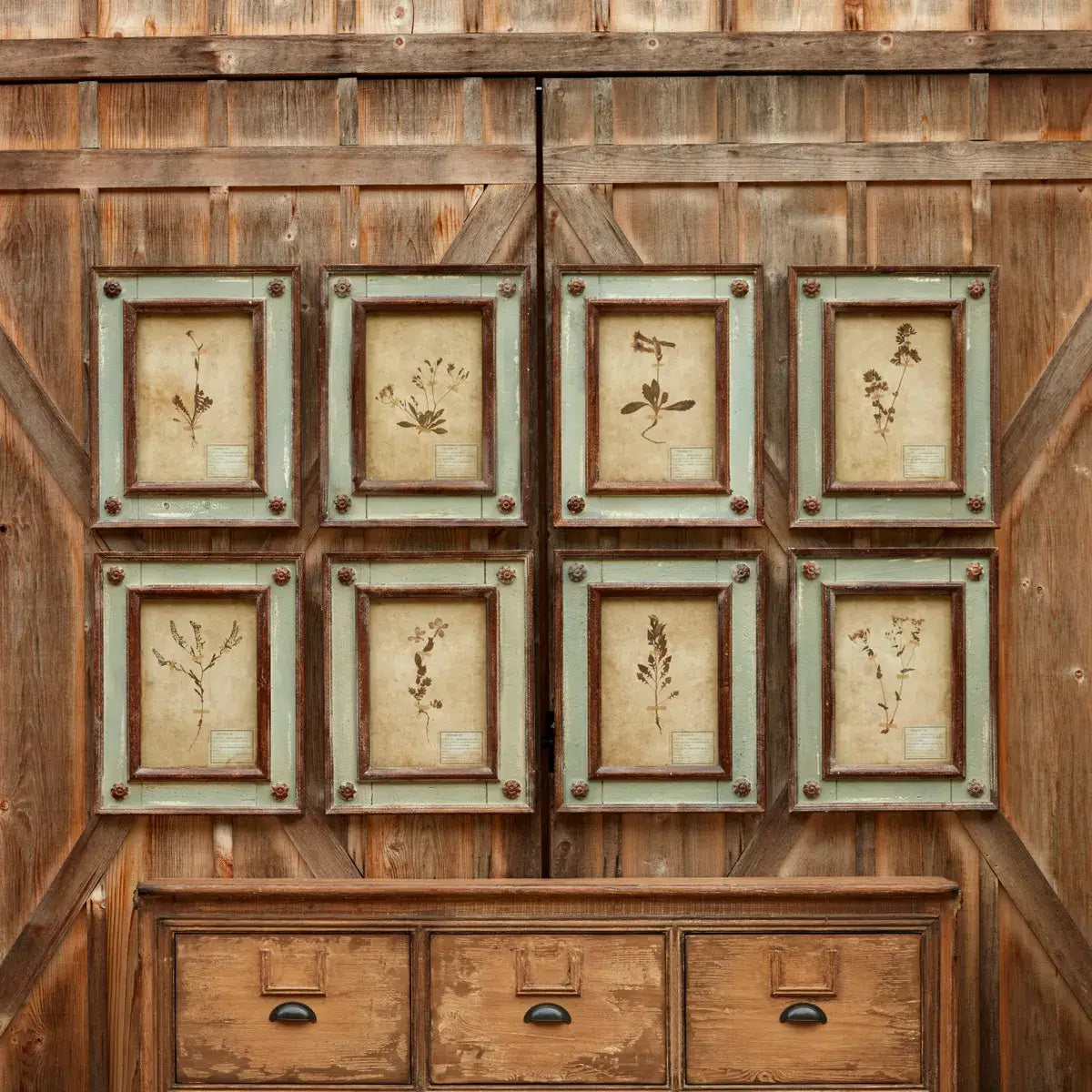 Framed Botanical Collection Set