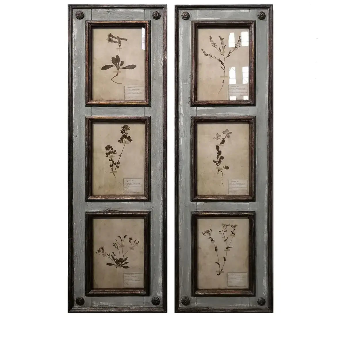 Framed Botanical Collection Panel Set