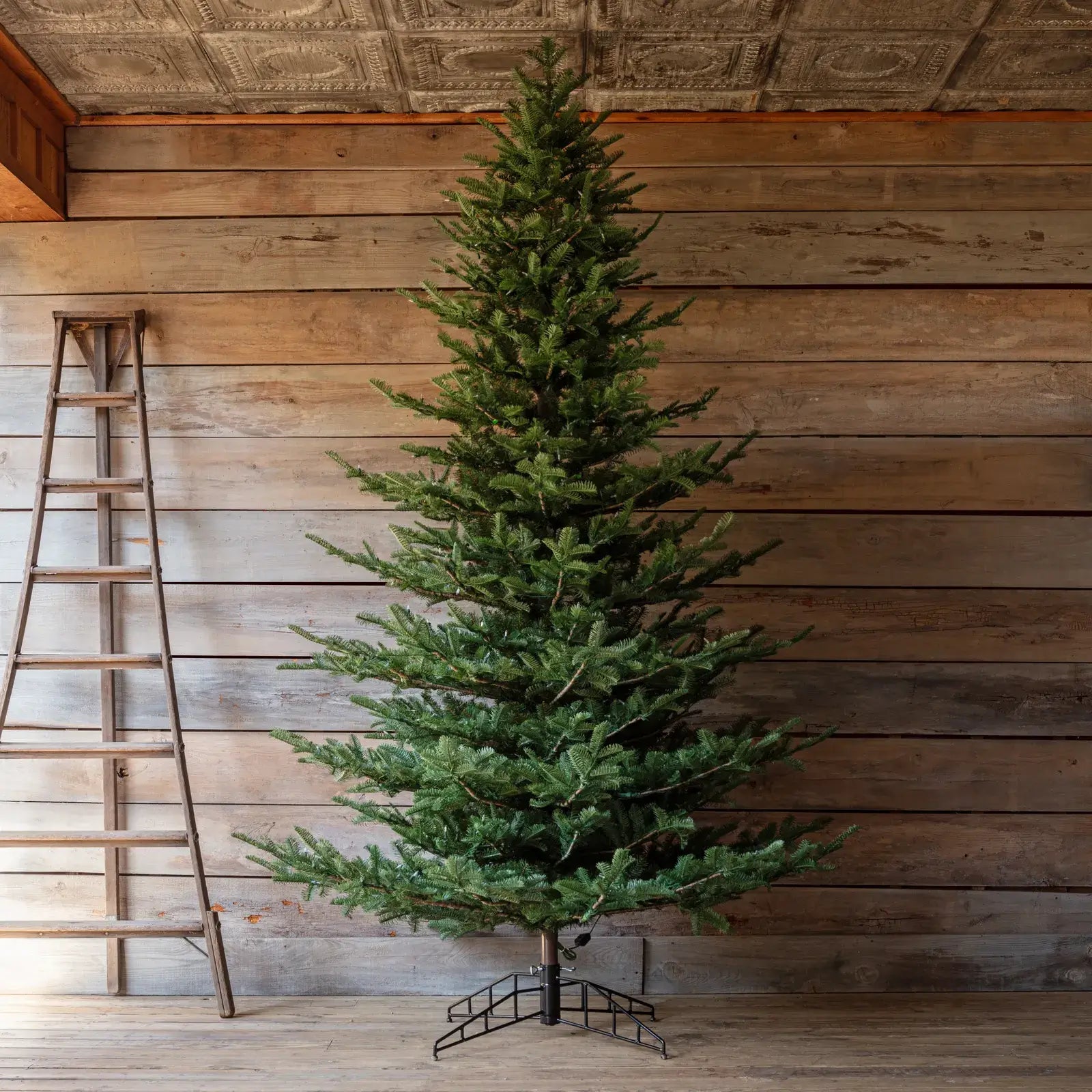 Grand Noble Tree With Dimmer Switch