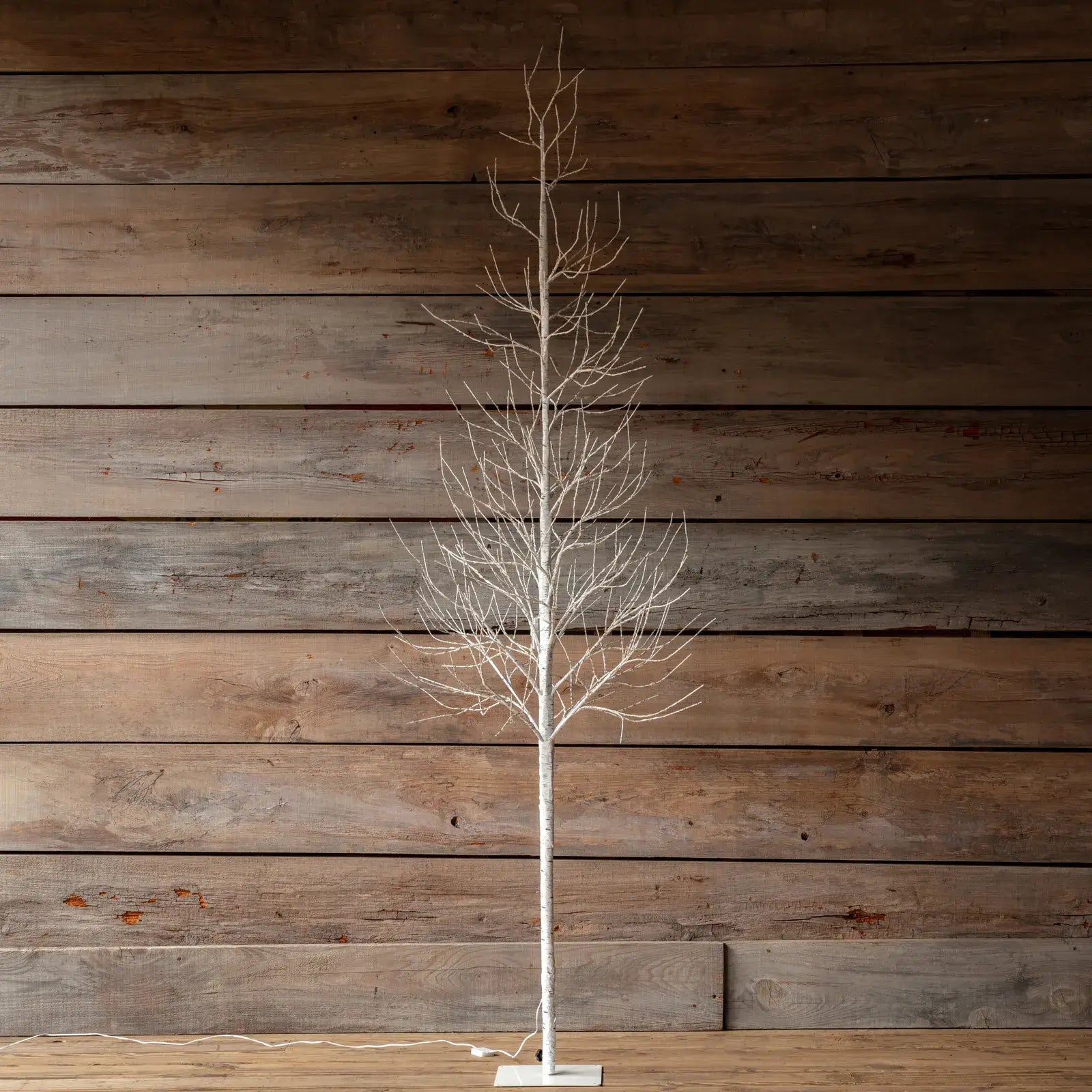 Twinkling Light Winter Birch Tree