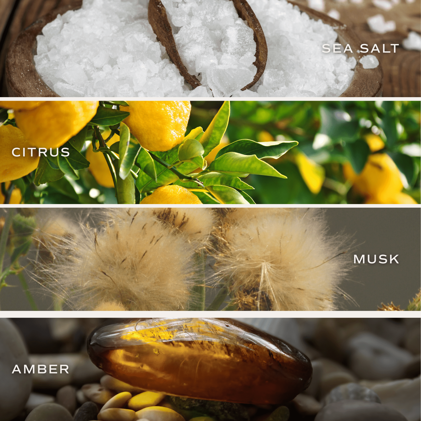 Salt & Sea Blue Matte Jar Candle