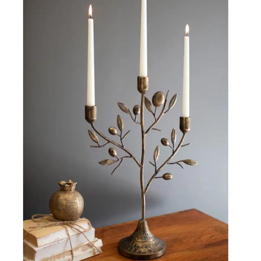 Antique Brass Fruit Tree Taper Candelabra