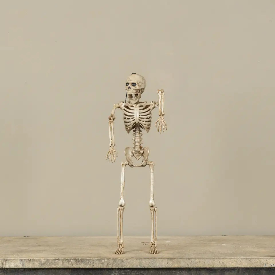 Poseable Skeleton