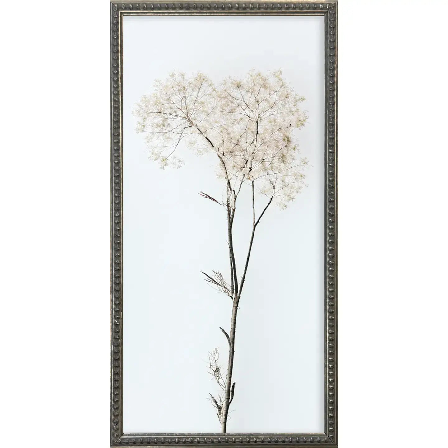 Whispy Botanicals Silver Bead Gallery Frame Art Set