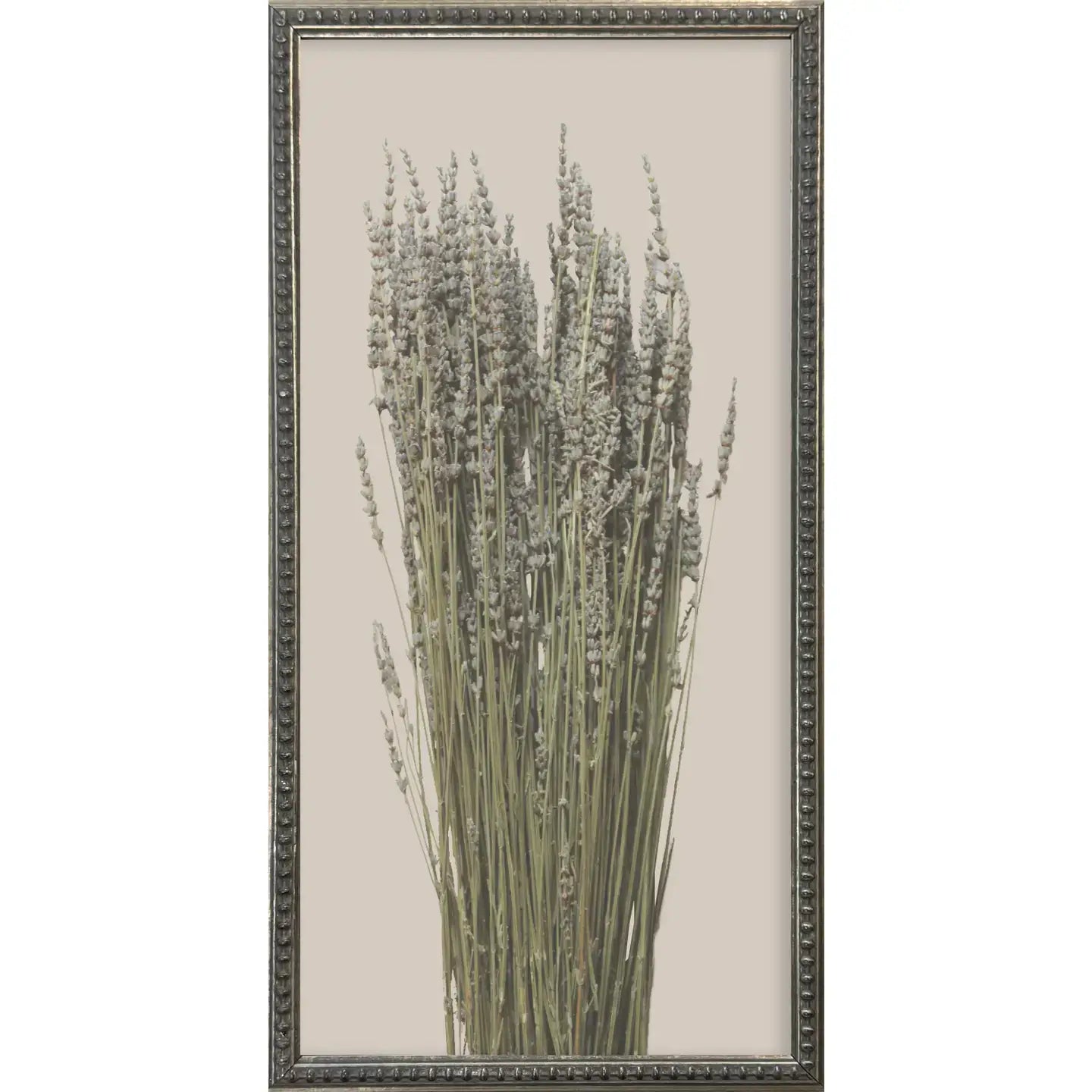 Botanicals Silver Bead Gallery Frame Art Set