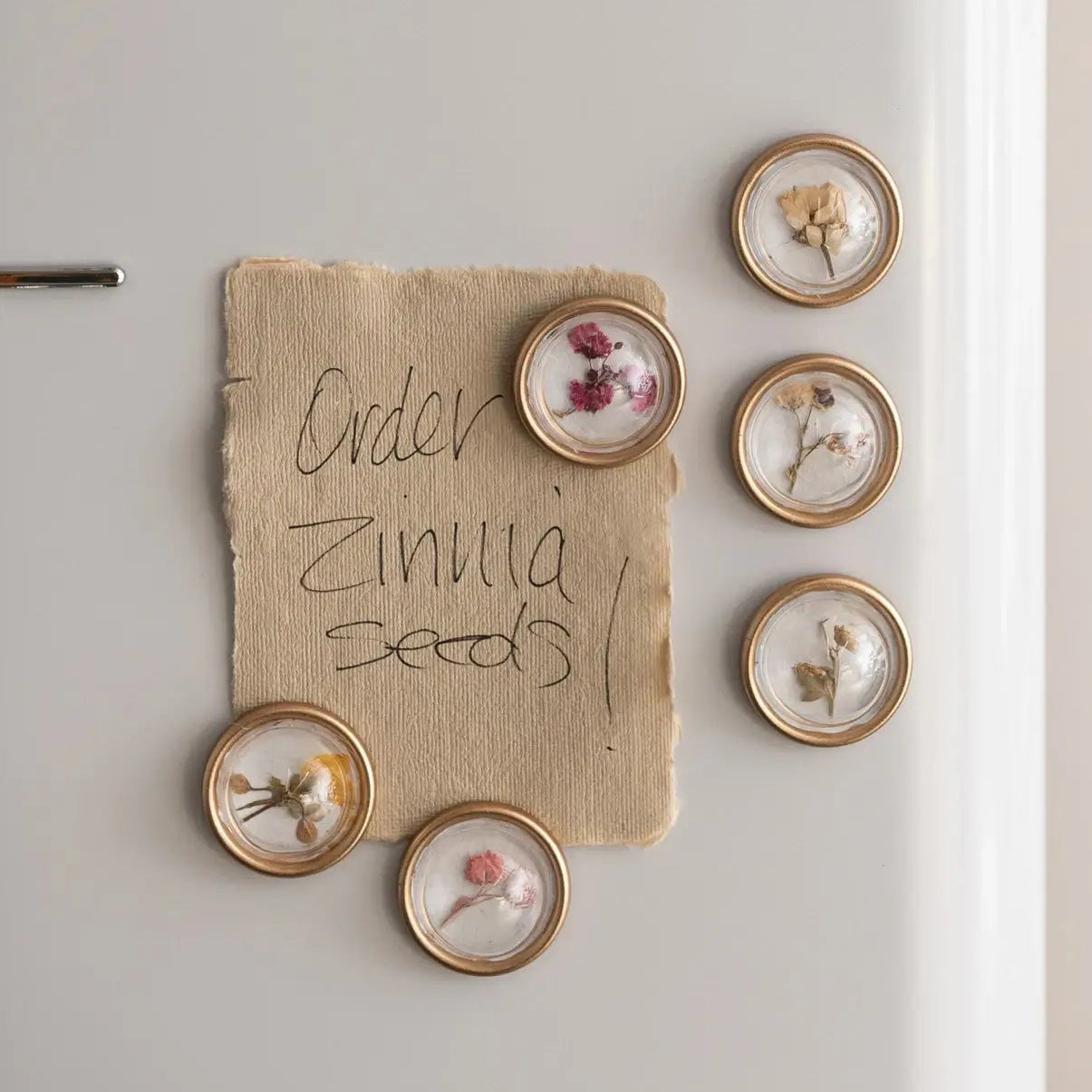 Resin Convex Botanical Magnet Set