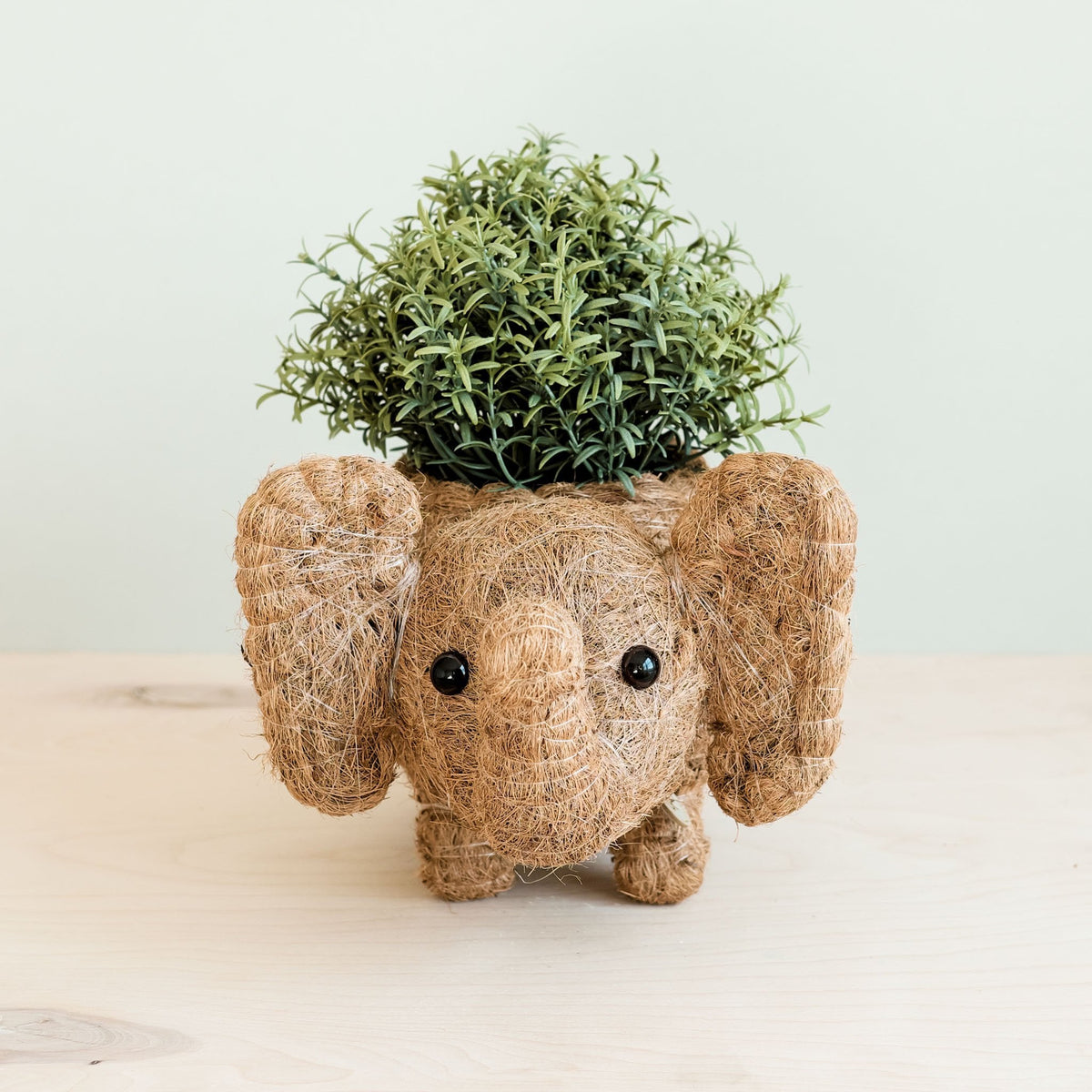 Coco Wicker Elephant Planter