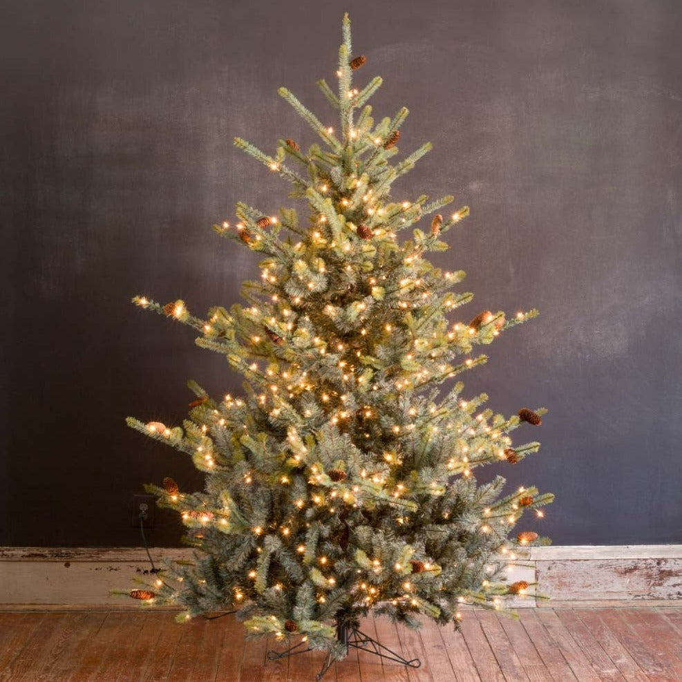 7.5' Park Hill Blue Spruce Christmas Tree With LED Lights