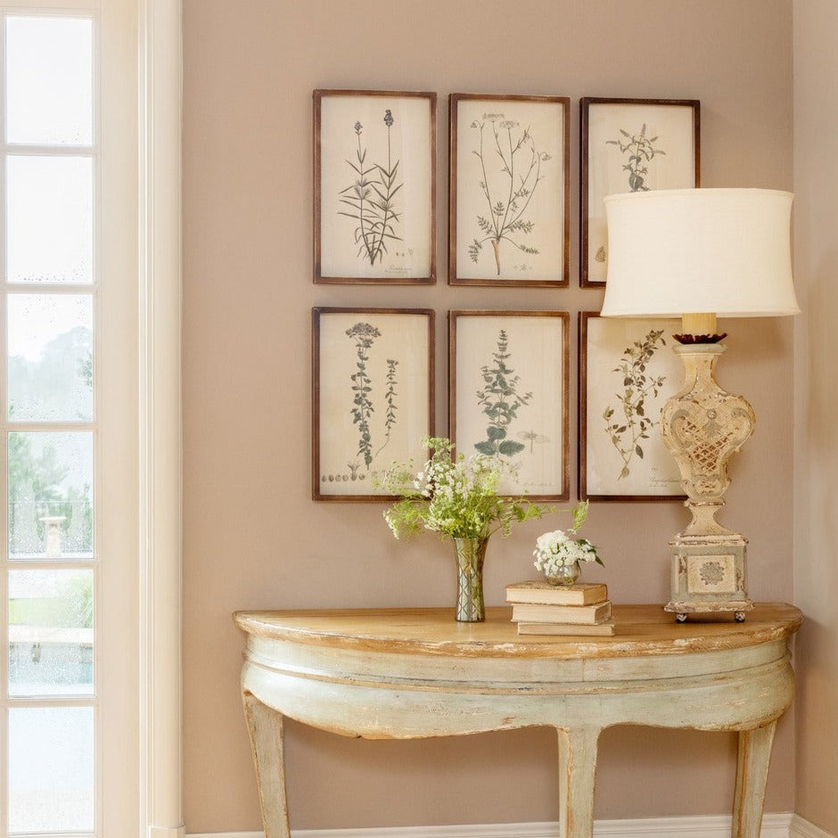 Collected Botanical Framed Prints