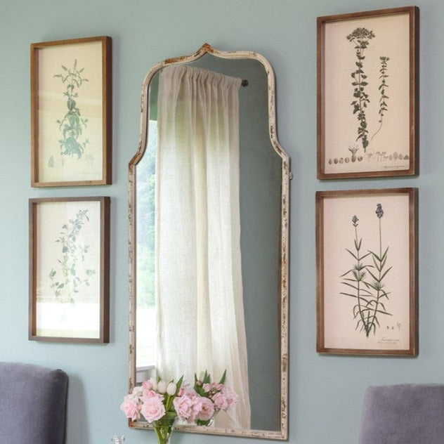 Collected Botanical Framed Prints