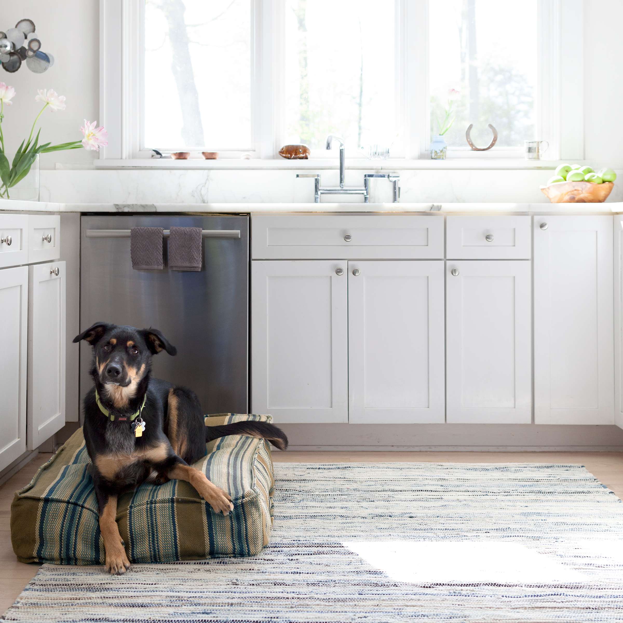 Dash & Albert Denim Rag Woven Cotton Rug