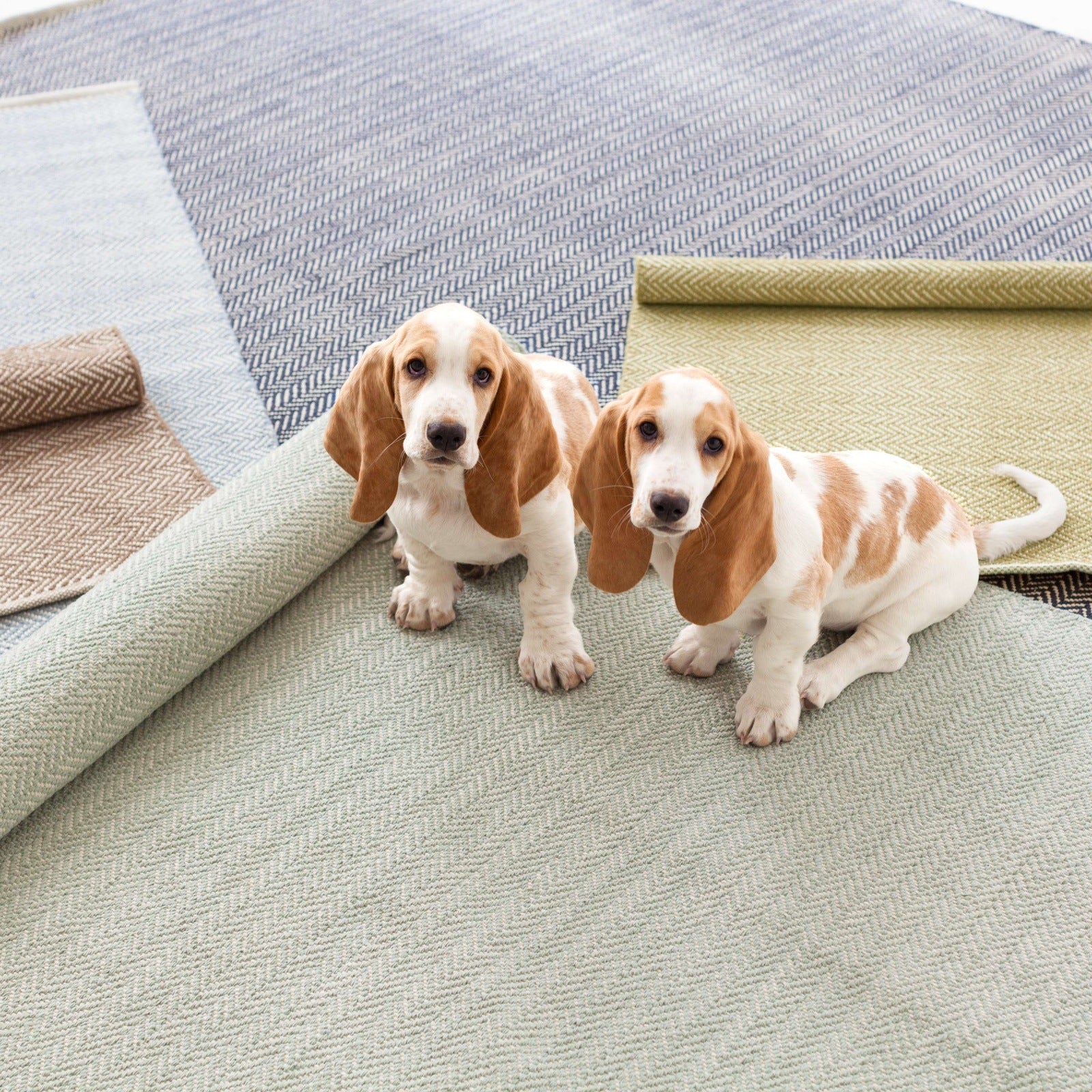 Dash & Albert Herringbone Stone Woven Cotton Rug