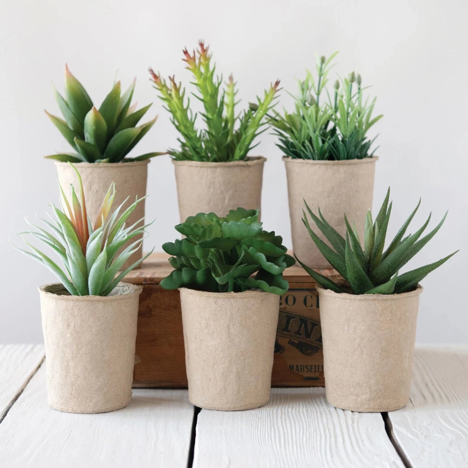 Faux Succulent In Paper Pot