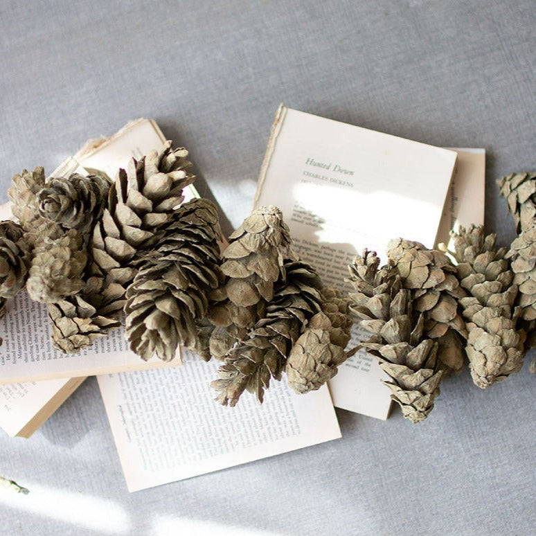 Frosted Sage Pine Cone Garland