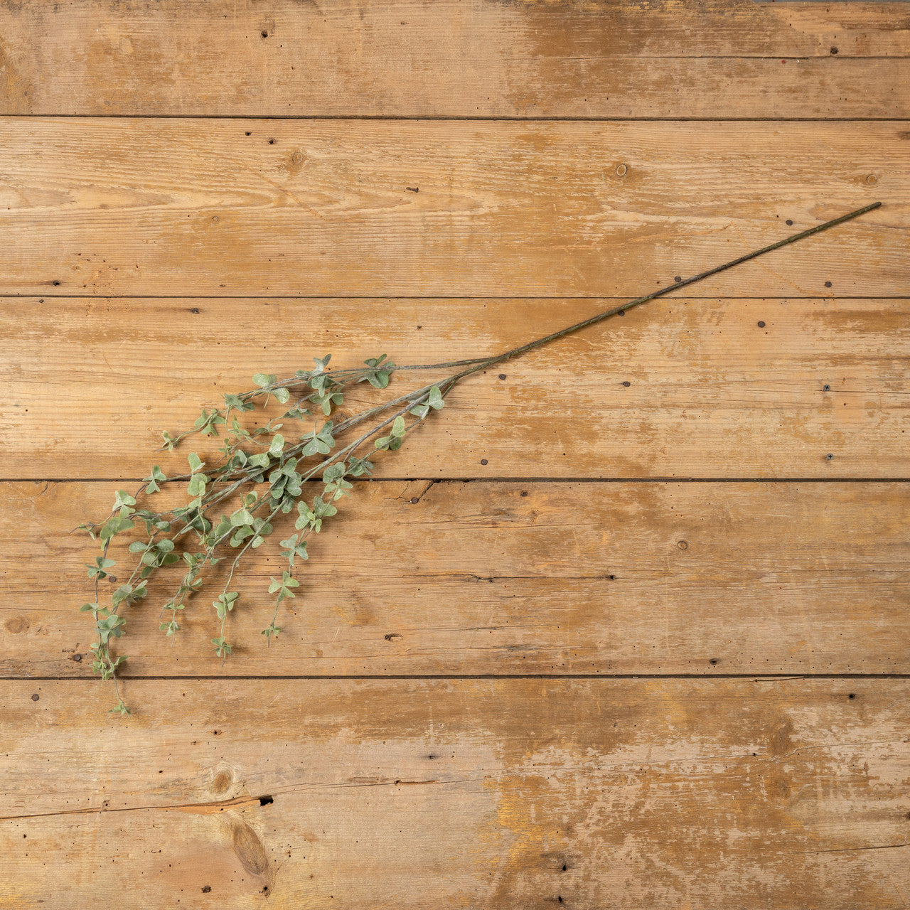 Green Foliage Branch