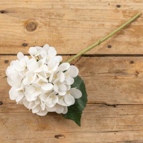 Ivory White Hydrangea Stem