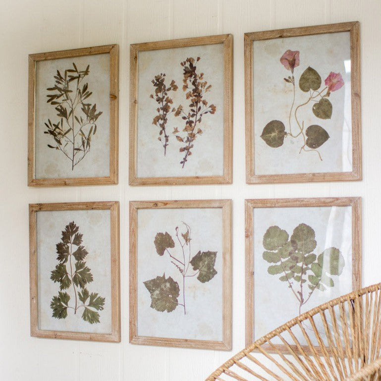 Leaf Framed Prints Set