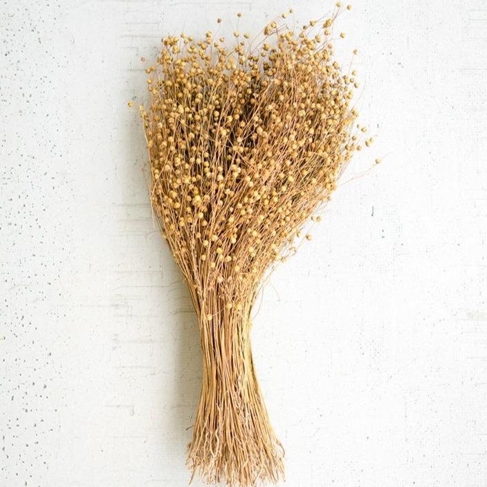 Natural Lino Stem Bundle