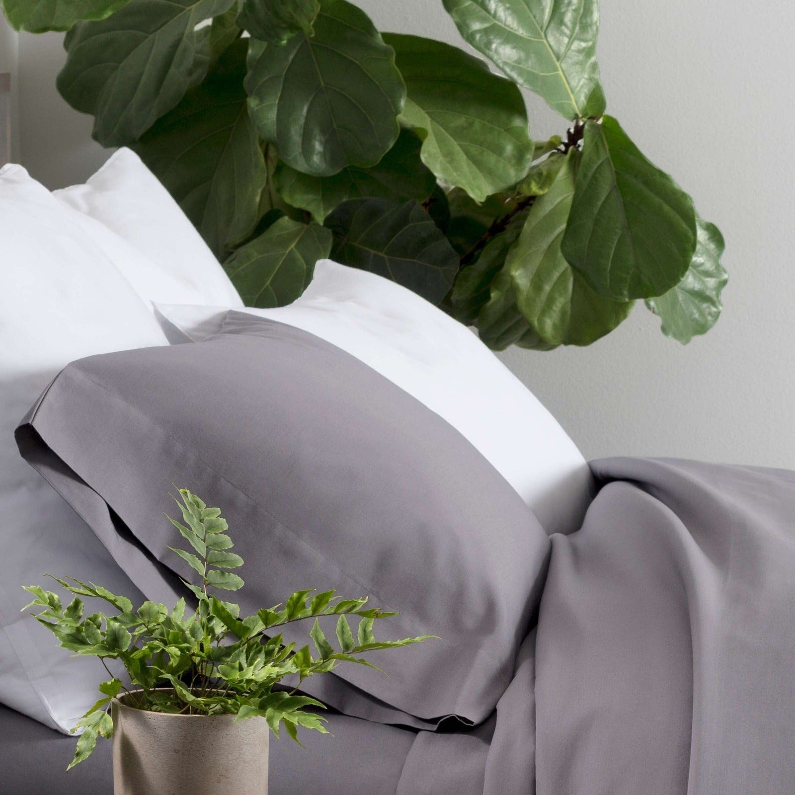 Pine Cone Hill Essential Percale White Sham