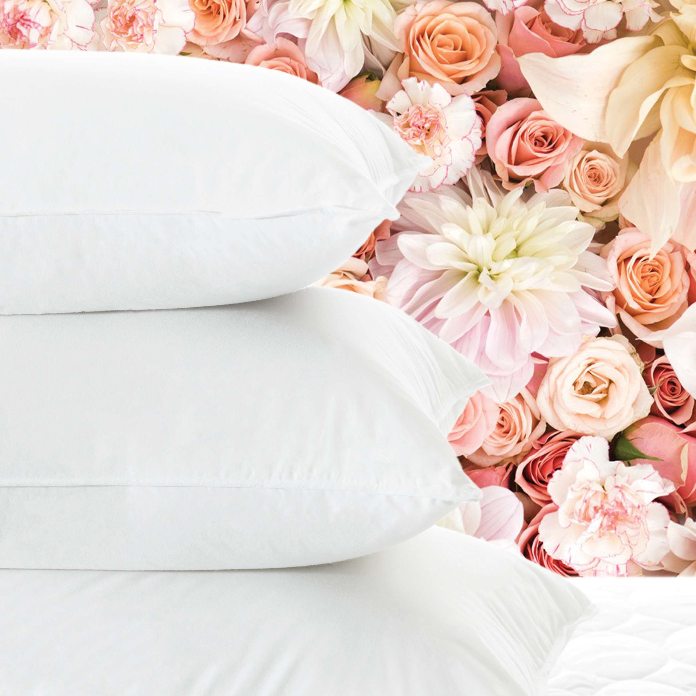 Pine Cone Hill Meditation Down Pillow Firm