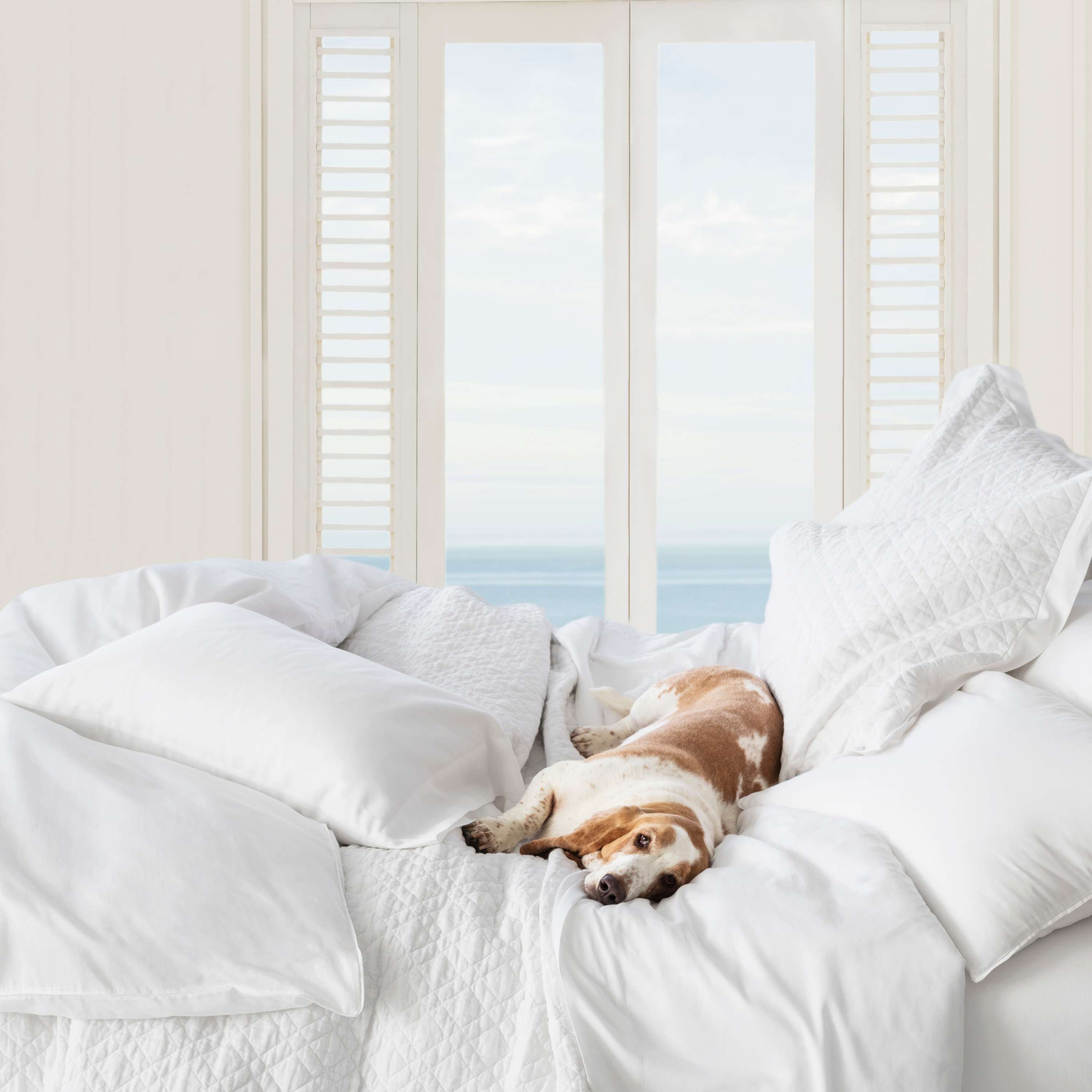 Pine Cone Hill Washed Linen White Quilt