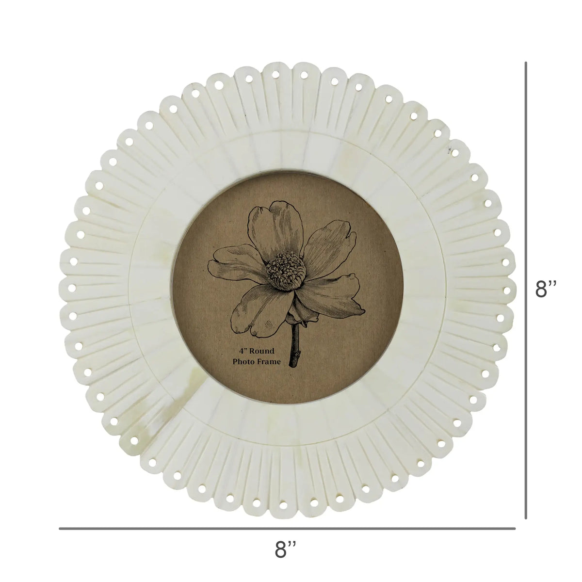 Scalloped Perforated Bone Frame