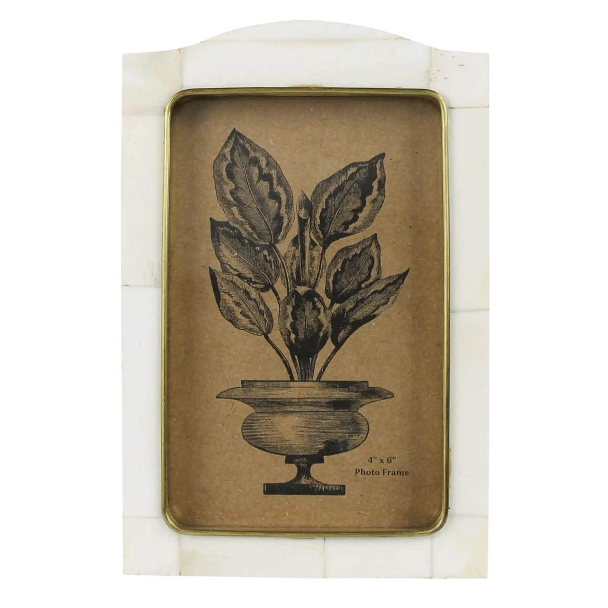 White Bone Frame