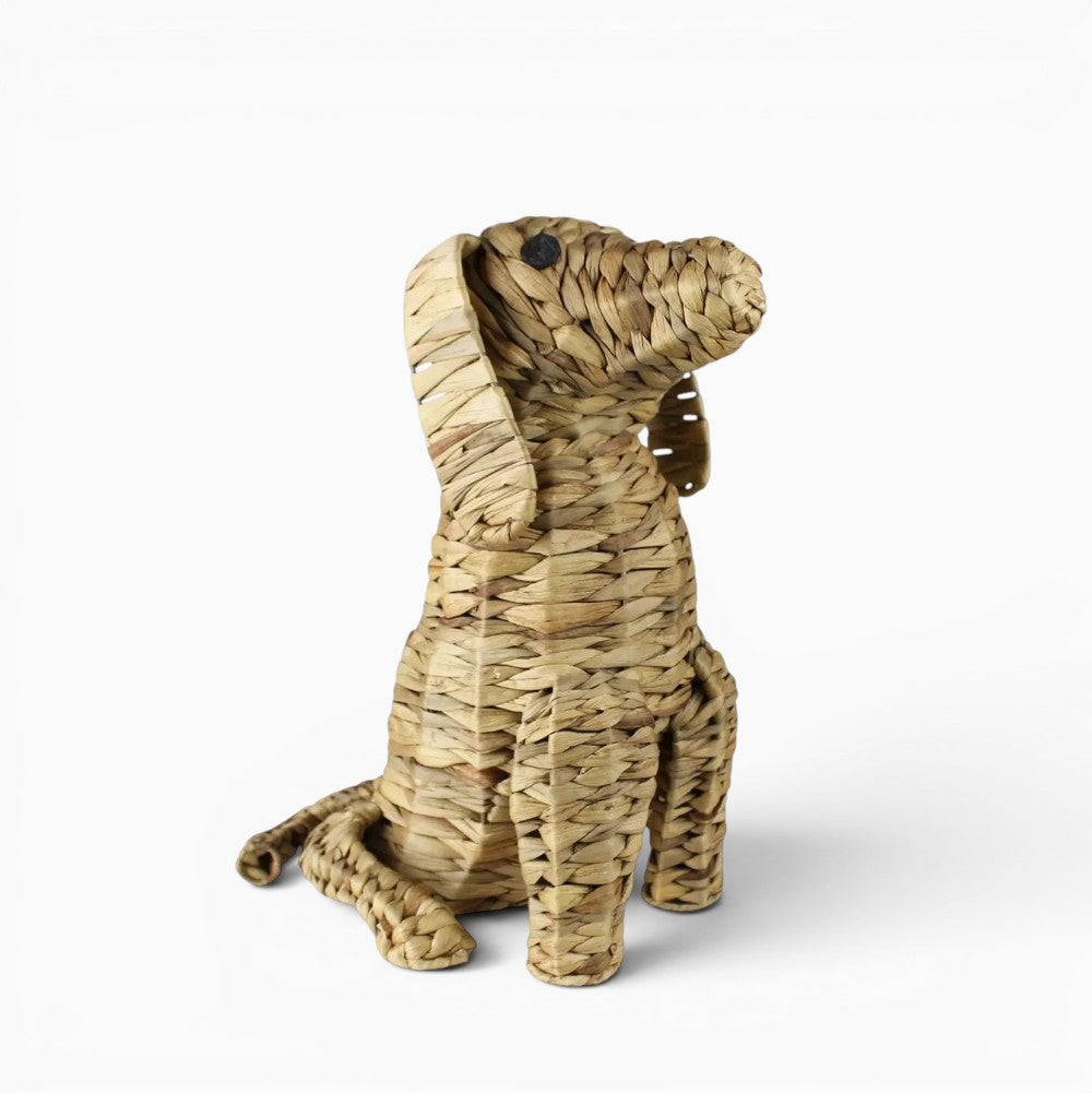 Water Hyacinth Sitting Dog
