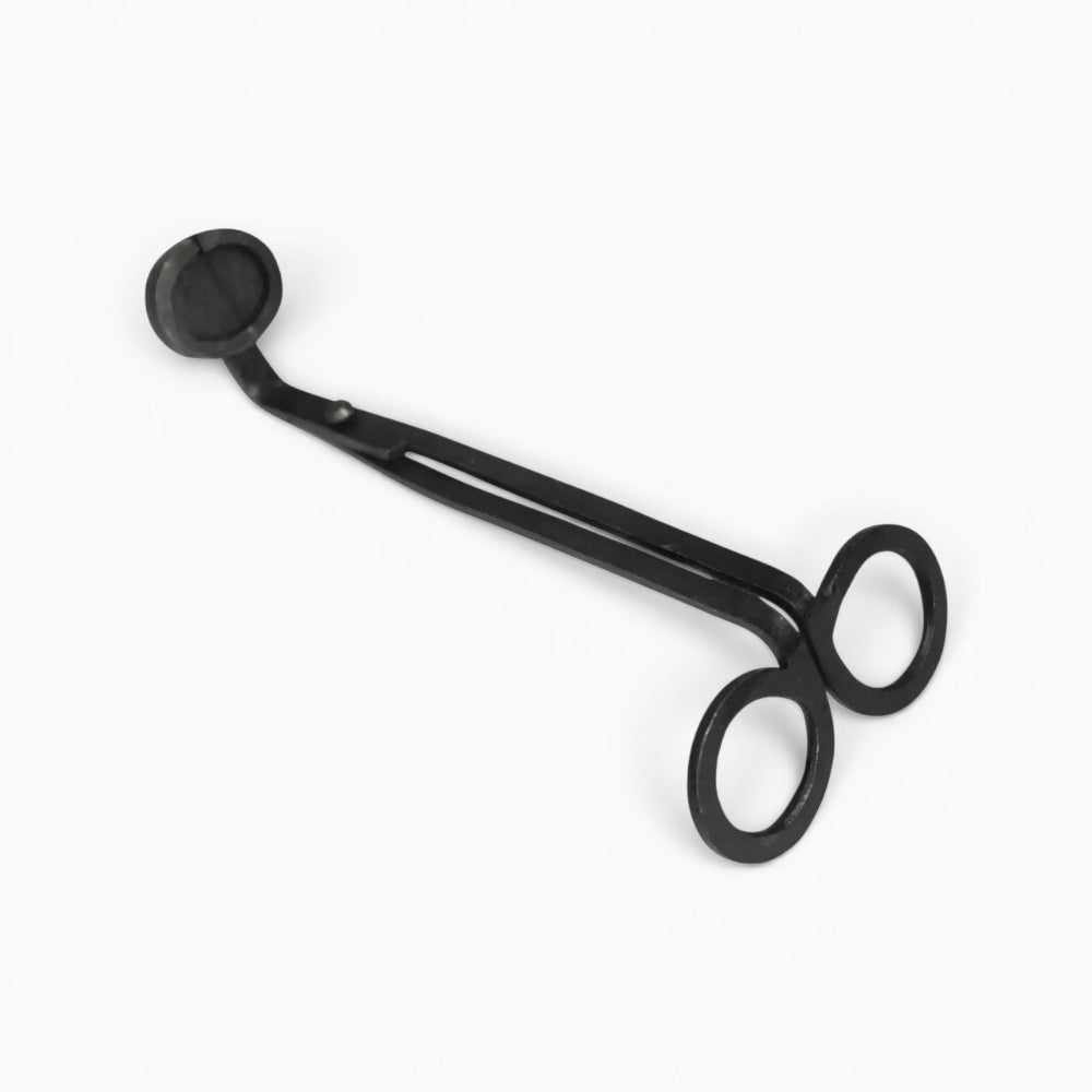 Iron Wick Trimmer