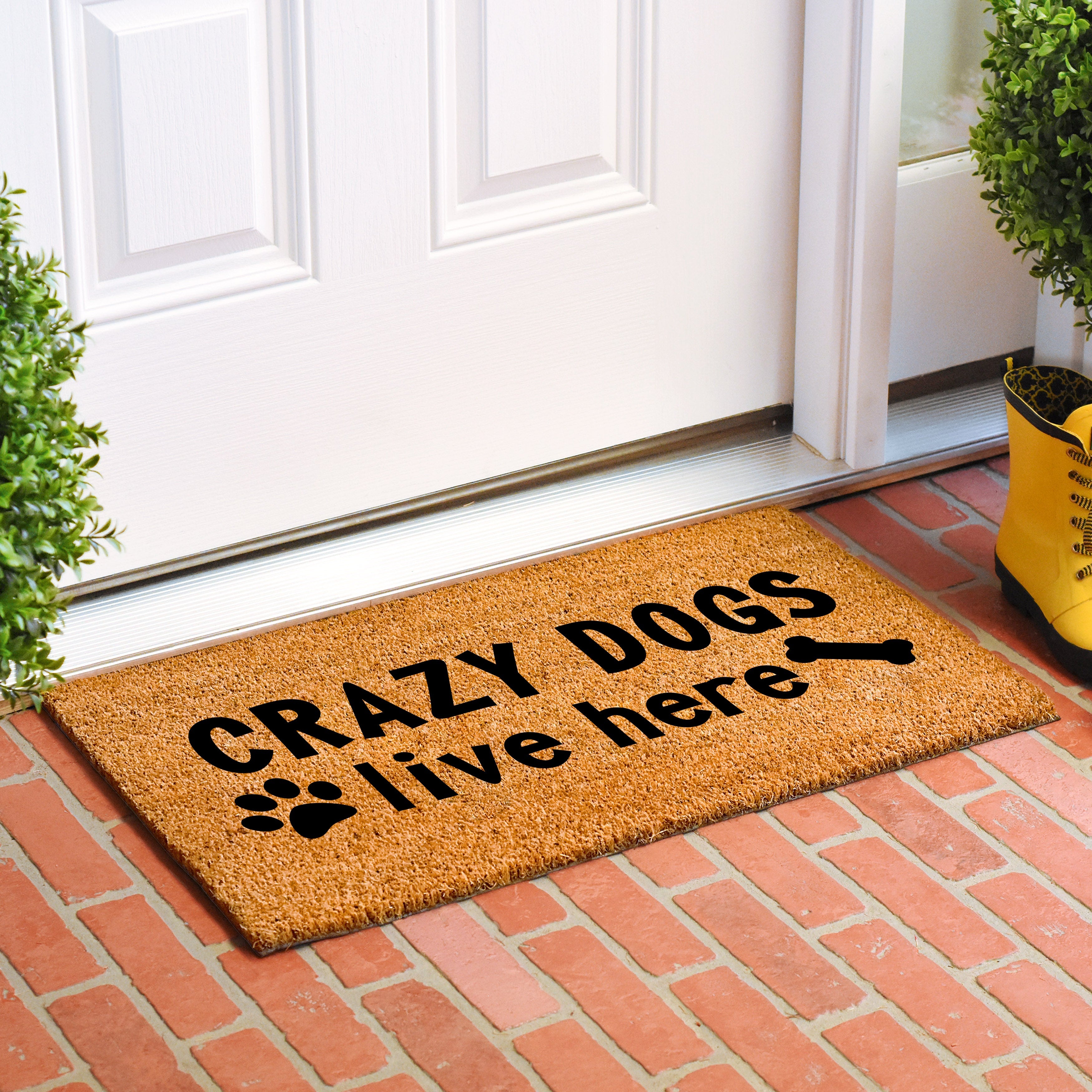 Crazy Dogs Live Here Doormat