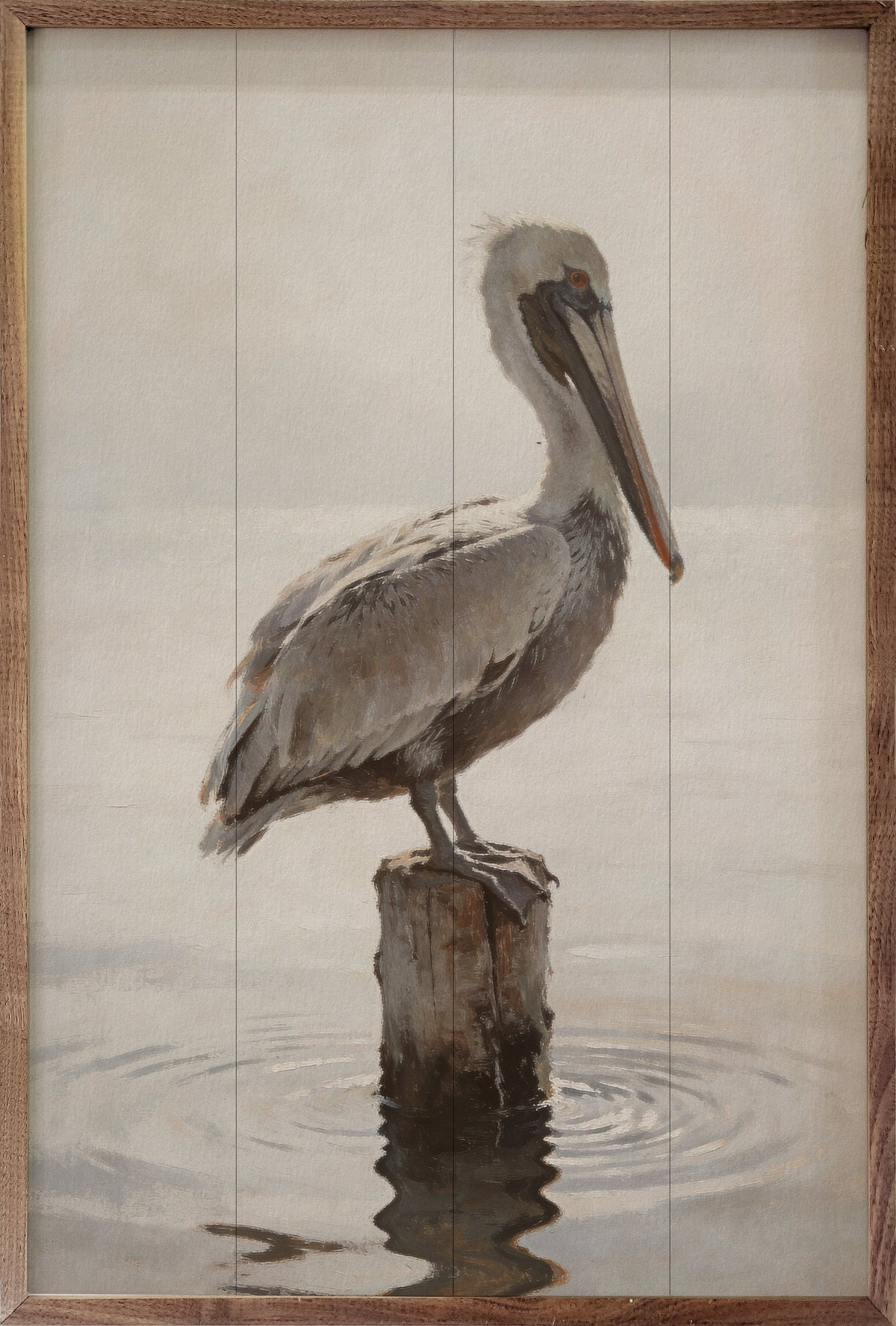 Weathered Pelican Portrait Wood Framed Print
