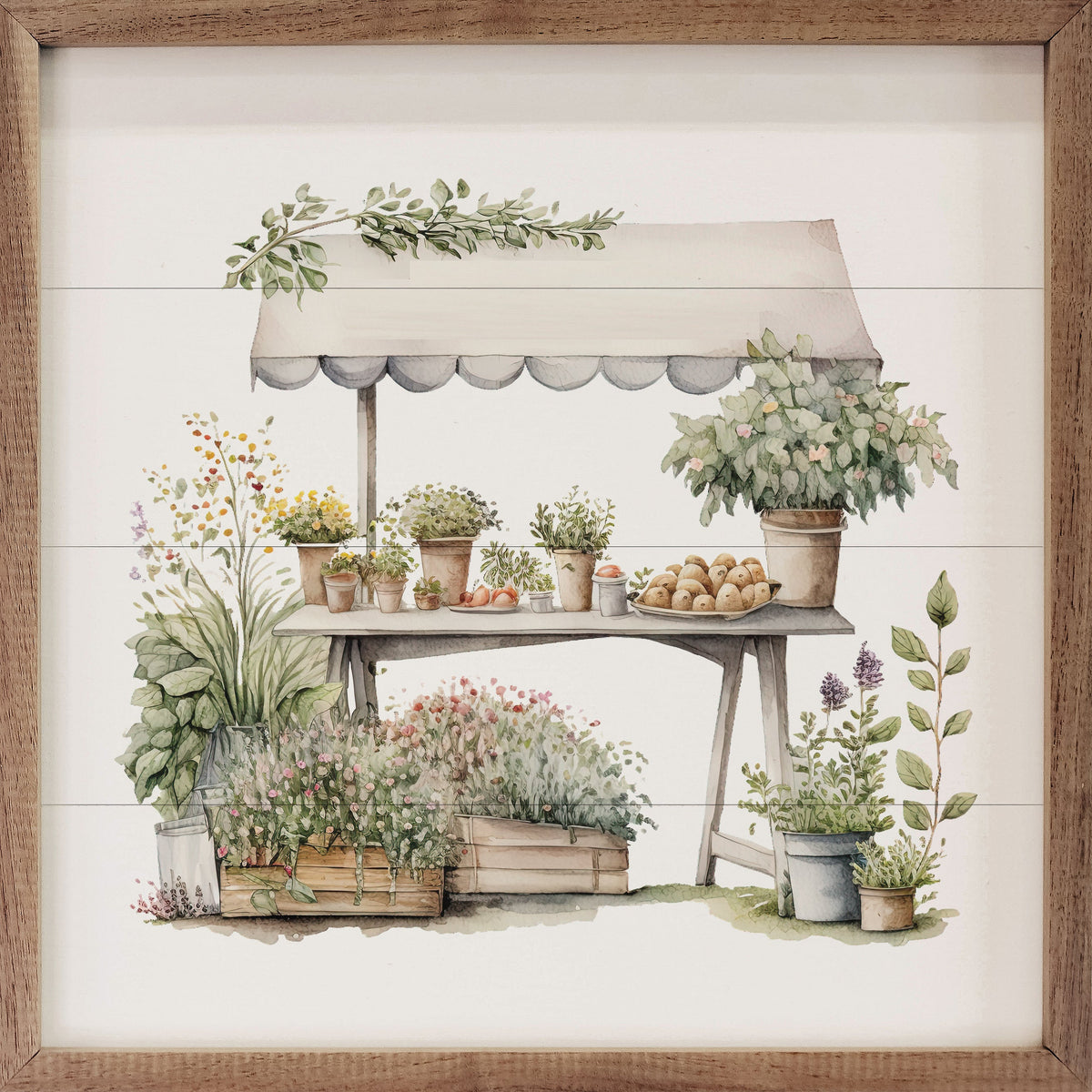 Herb Shed White Wood Framed Print