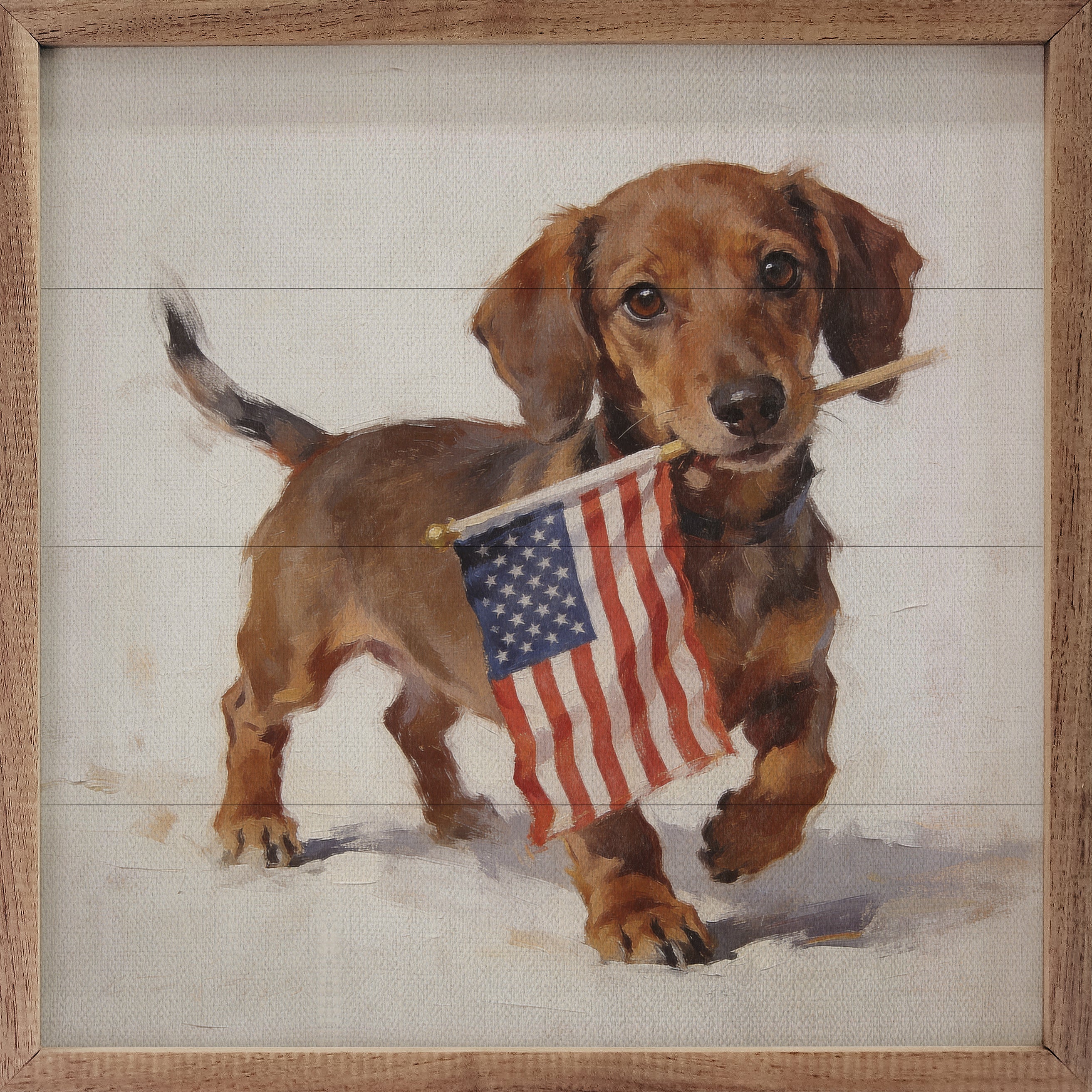 16x16-PatrioticPetsDachshund-