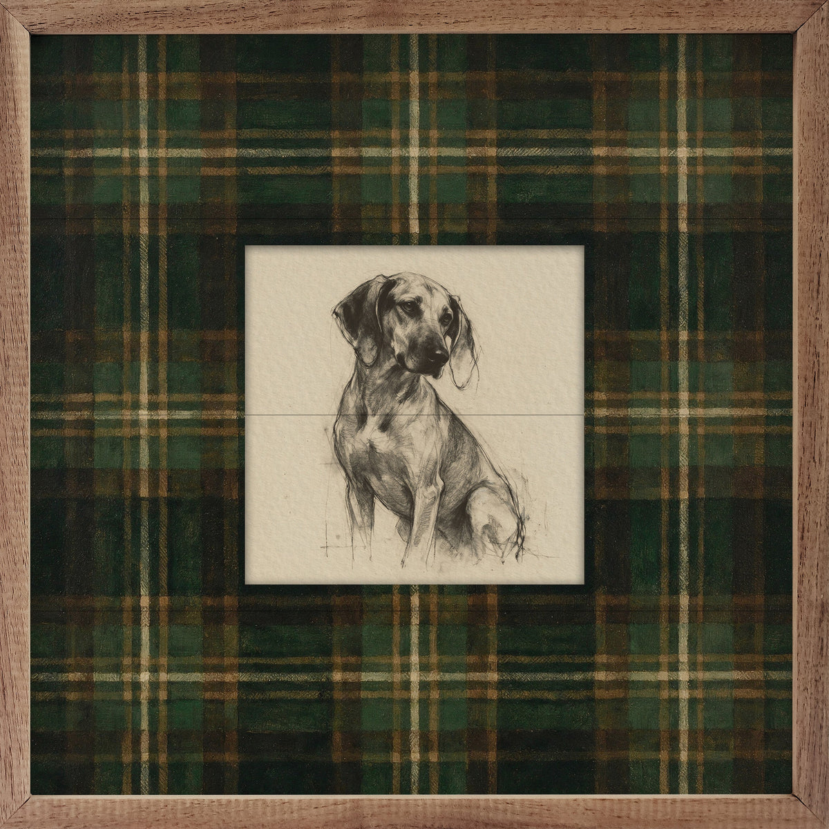 Vintage Portrait Coonhound Tartan Study Wood Framed Print
