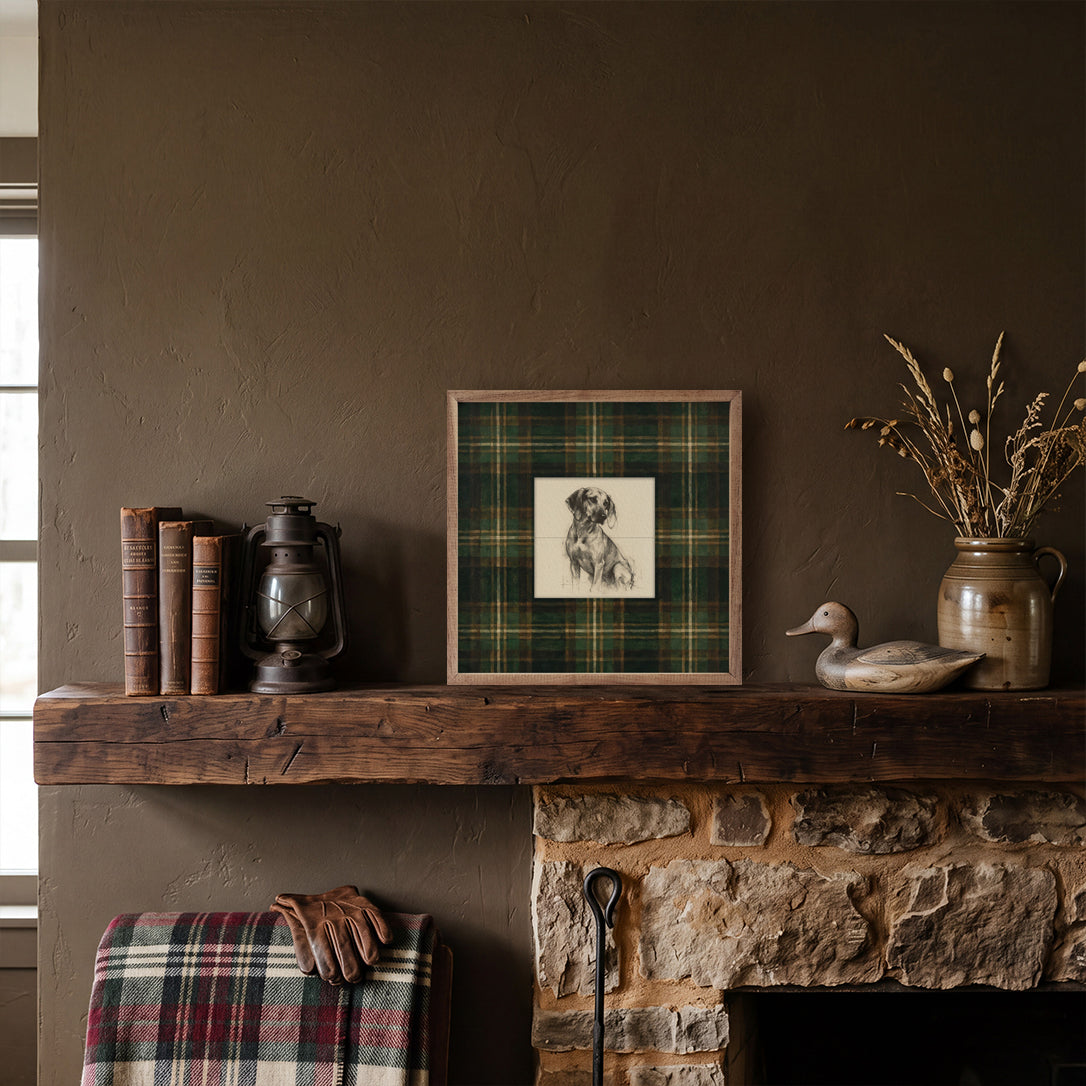 Vintage Portrait Coonhound Tartan Study Wood Framed Print